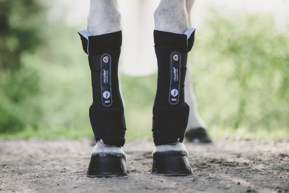 KENTUCKY® HORSEWEAR Magnetic Recuptex Stallgamasche
