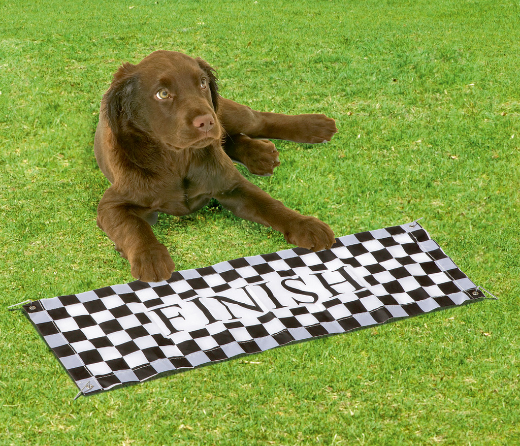 Fun Agility Starter Set