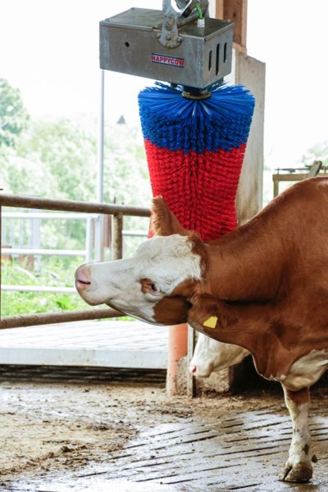 HAPPYCOW Kuhputzmaschine MaxiSwing