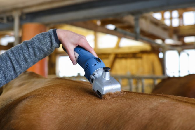 CLIPSTER Schermaschine FarmClipper für Pferde Akku2 mit AESCULAP Schermesser-Set Premium, 31/15