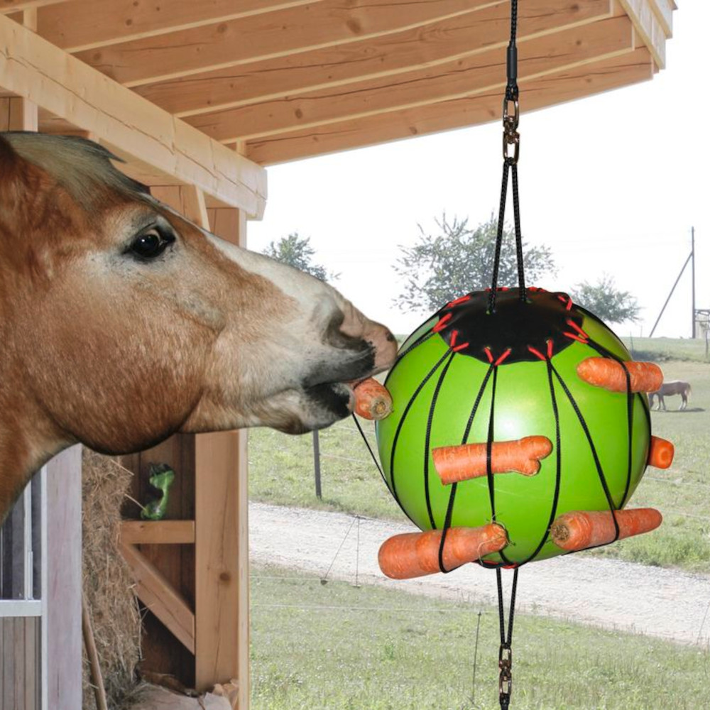 Therapie-Spielball für Pferde