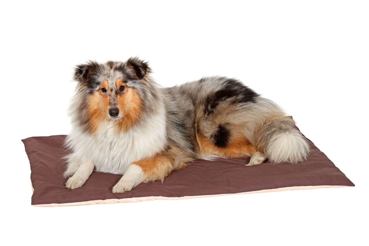 Liegedecke Doc Bed