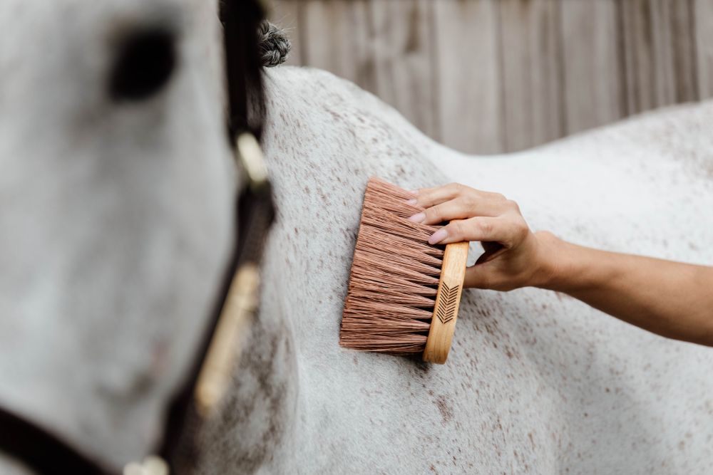 KENTUCKY® GROOMING DELUXE Middle Brush Medium