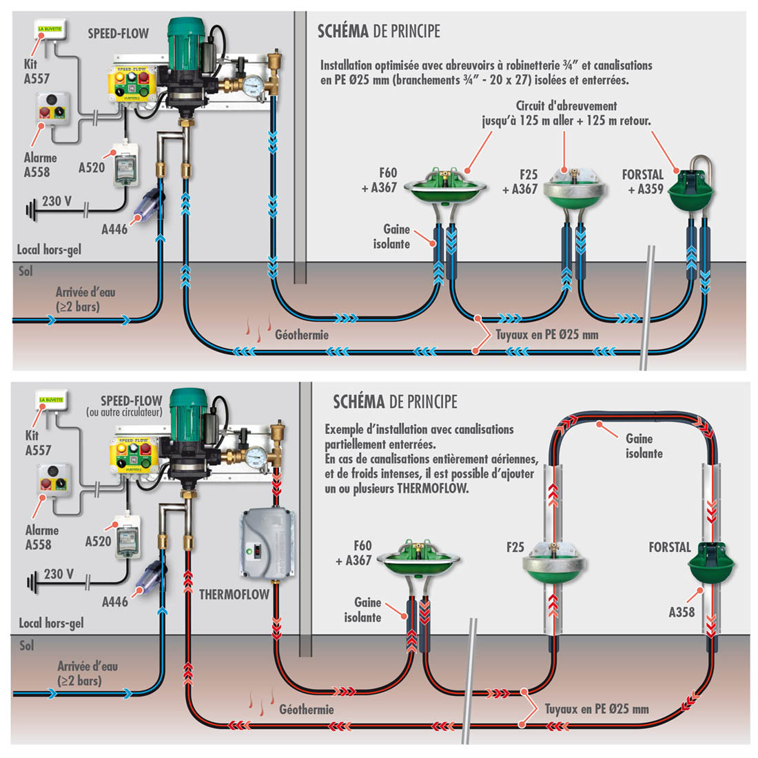 Frostsichere Pumpe Speed-Flow mit großer Durchflussmenge