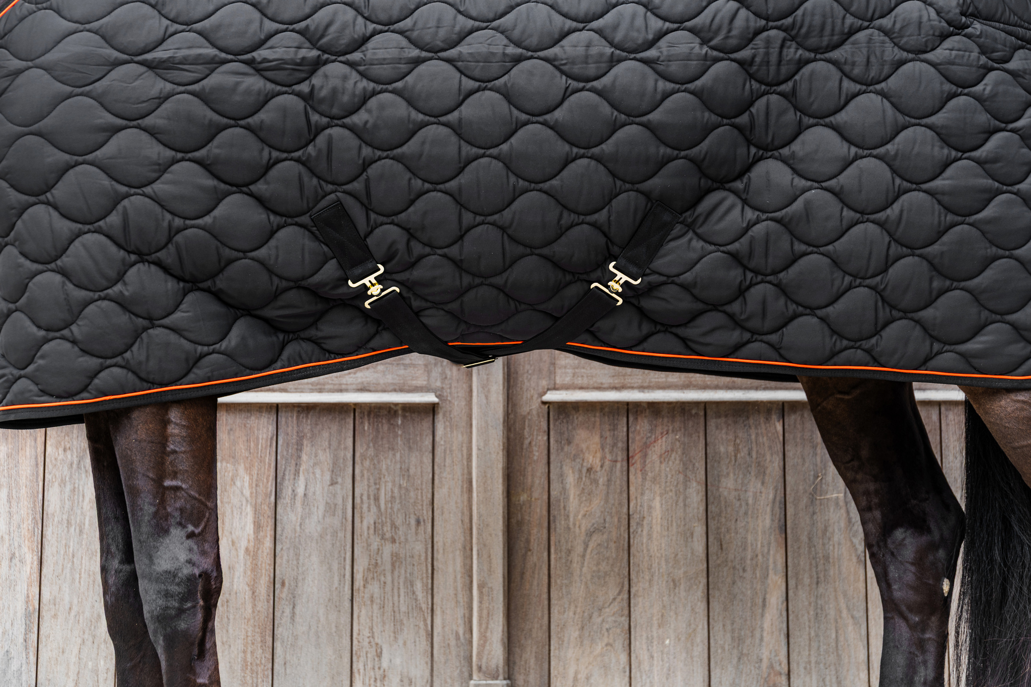 KENTUCKY® HORSEWEAR Stalldecke Wave 160g, schwarz Schwarze Stalldecke Wave mit Wellensteppung, orangem Rand und goldfarbenen Verschlüssen am Pferd.