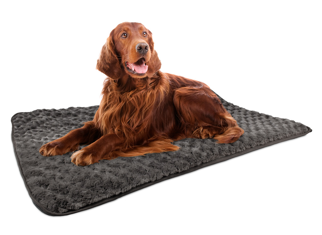 Hundedecke Cuddly