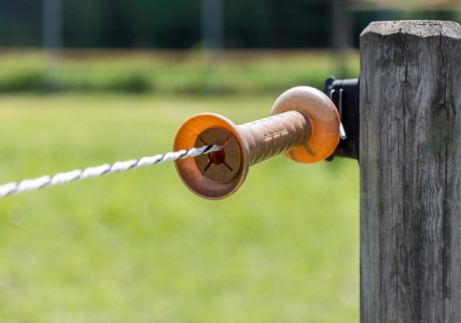 AKO Tor-Set Premium FLEXIGATE mit orangem Torgriff, der an einem Holzpfahl mit Weidezaunlitze befestigt ist.