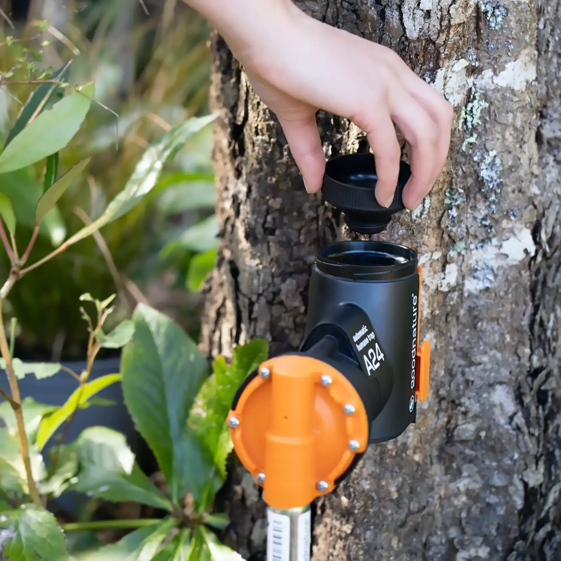 GOODNATURE® Nachfüllbarer Lockstoffbehälter