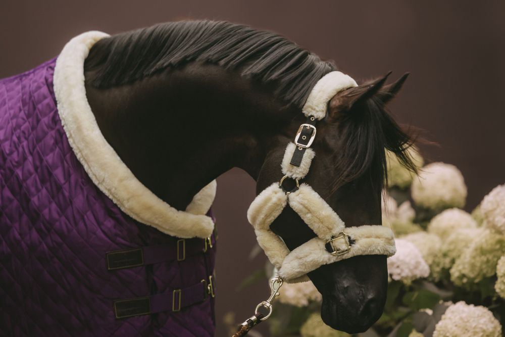 KENTUCKY® HORSEWEAR Turnierdecke, königliches-violett