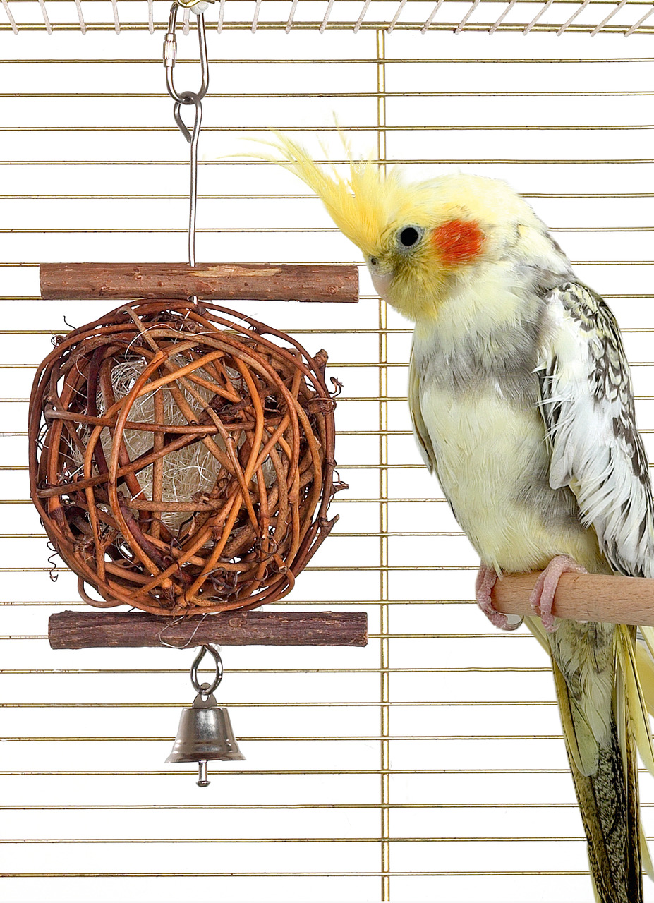 Vogelspielzeug Wooden Bird Ball