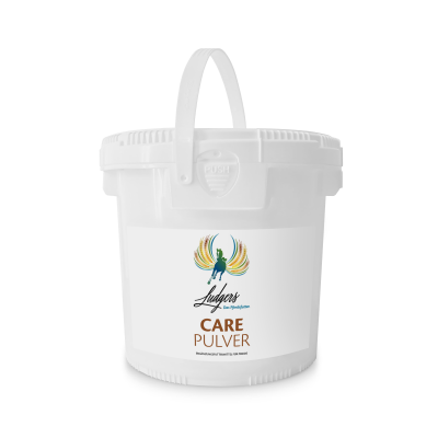 LUDGERS N CARE | PULVER