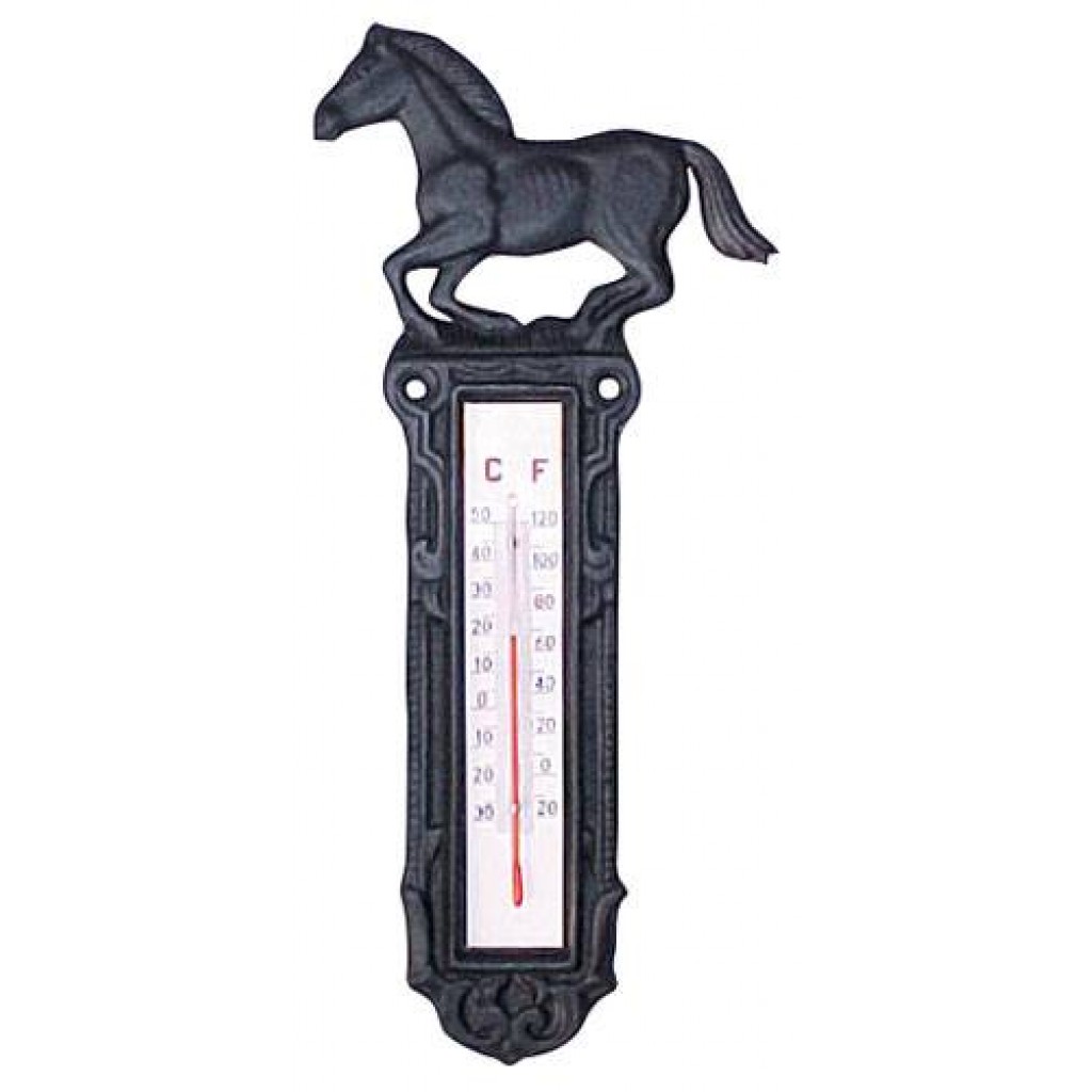 Thermometer aus Gusseisen, groß