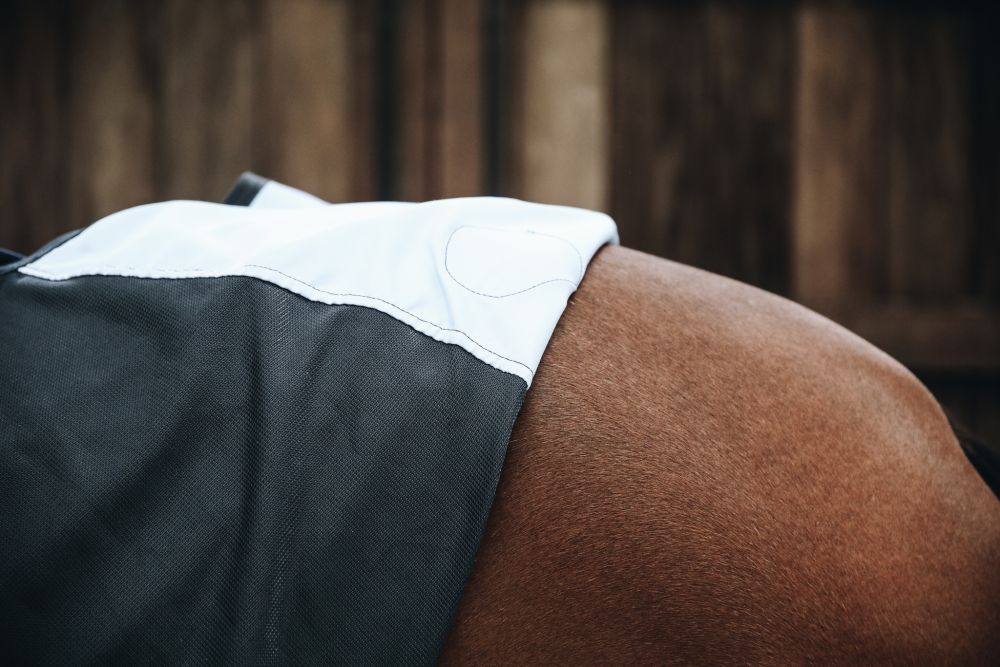 KENTUCKY® HORSEWEAR Magnetic Recuptex Decke