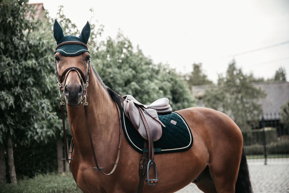 KENTUCKY® HORSEWEAR Schabracke Cord Springen, pinien-grün