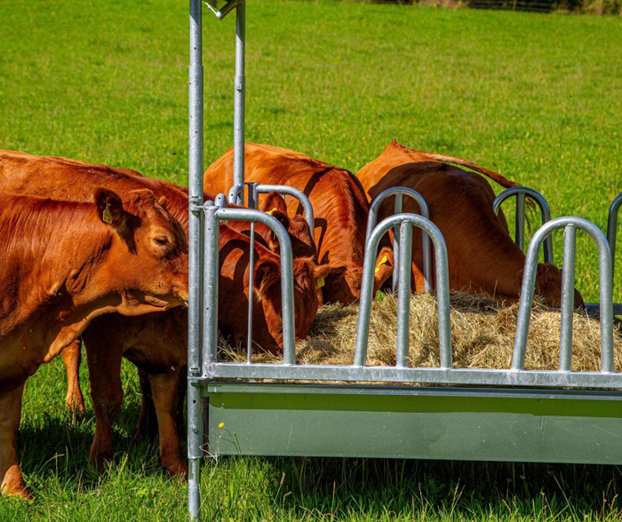 STALLBEDARF24 Viereckraufe mit Palisadenfressgittern