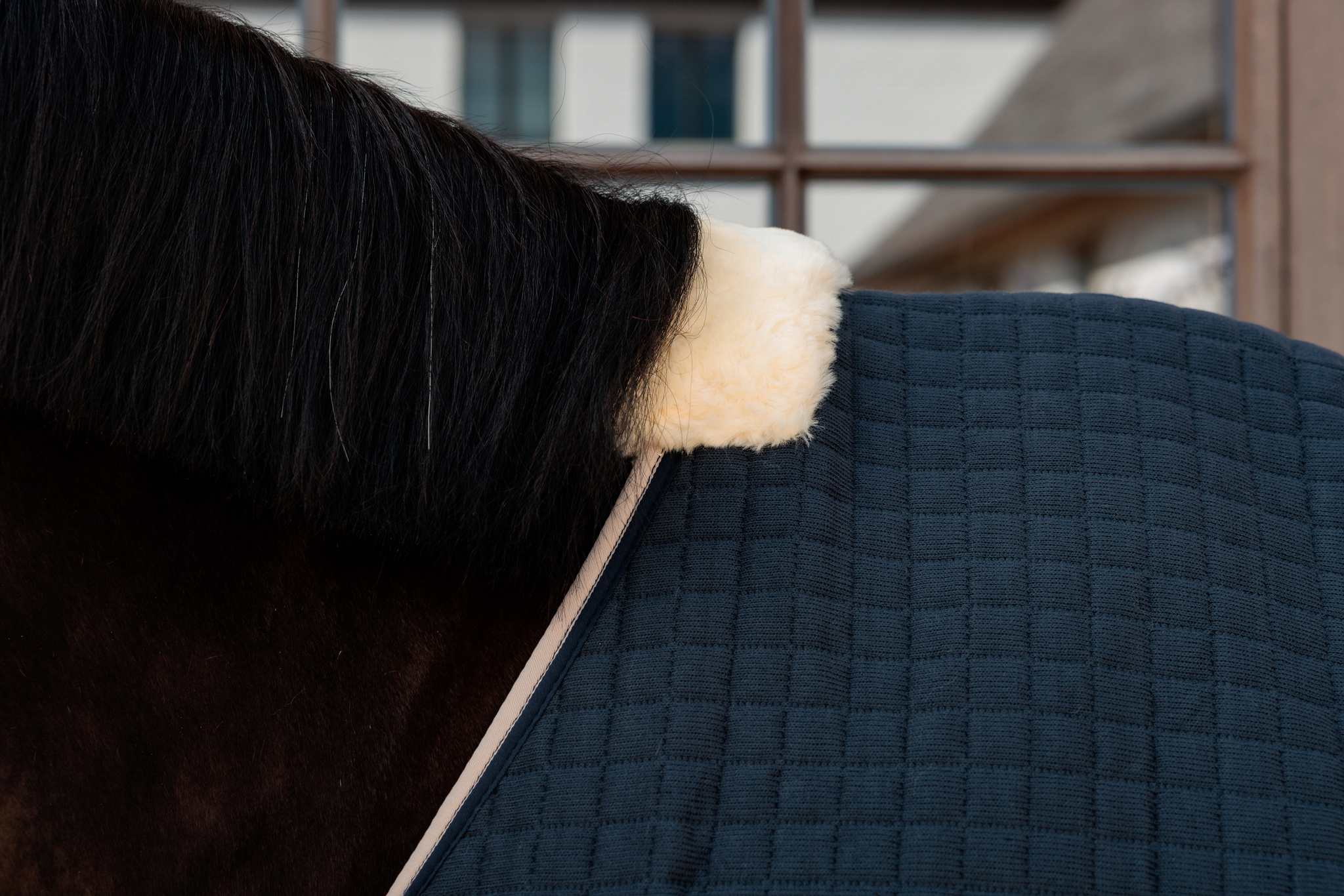 KENTUCKY® HORSEWEAR Abschwitzdecke PROTherm, navy Detailansicht der navy Abschwitzdecke PROTherm mit weichem Widerristpolster aus Fellimitat auf einem Pferderücken.