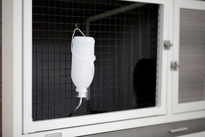 KERBL Trinkflasche für Kaninchen