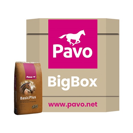 PAVO BasicPlus BigBox
