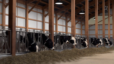 SHADA Hallenstrahler High Bay - 200W 30000lm 3000K/4000K/5000K - Lumileds LED - Sosen Driver - schwarz