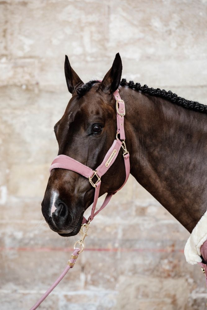 KENTUCKY® HORSEWEAR Velvet Halfter, altrosa