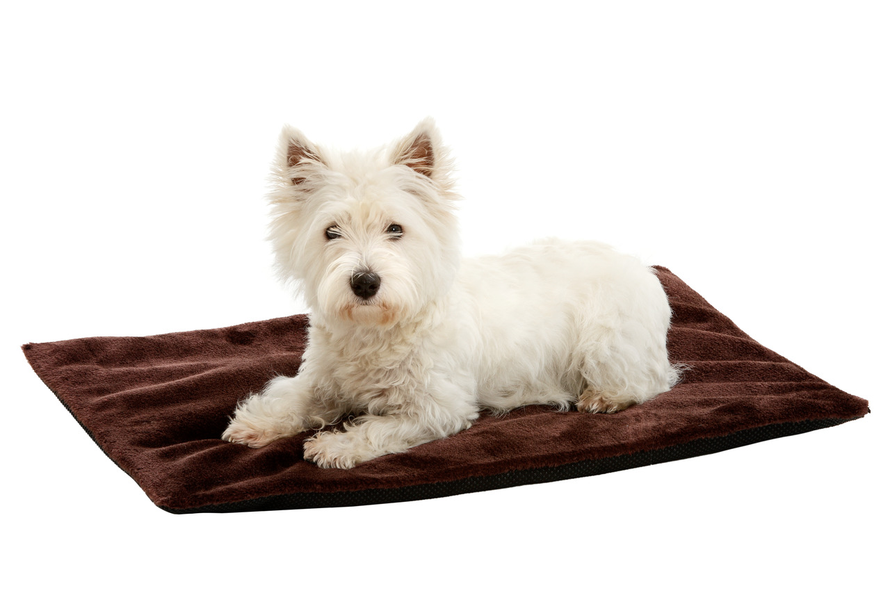 Thermo Top Hundedecke