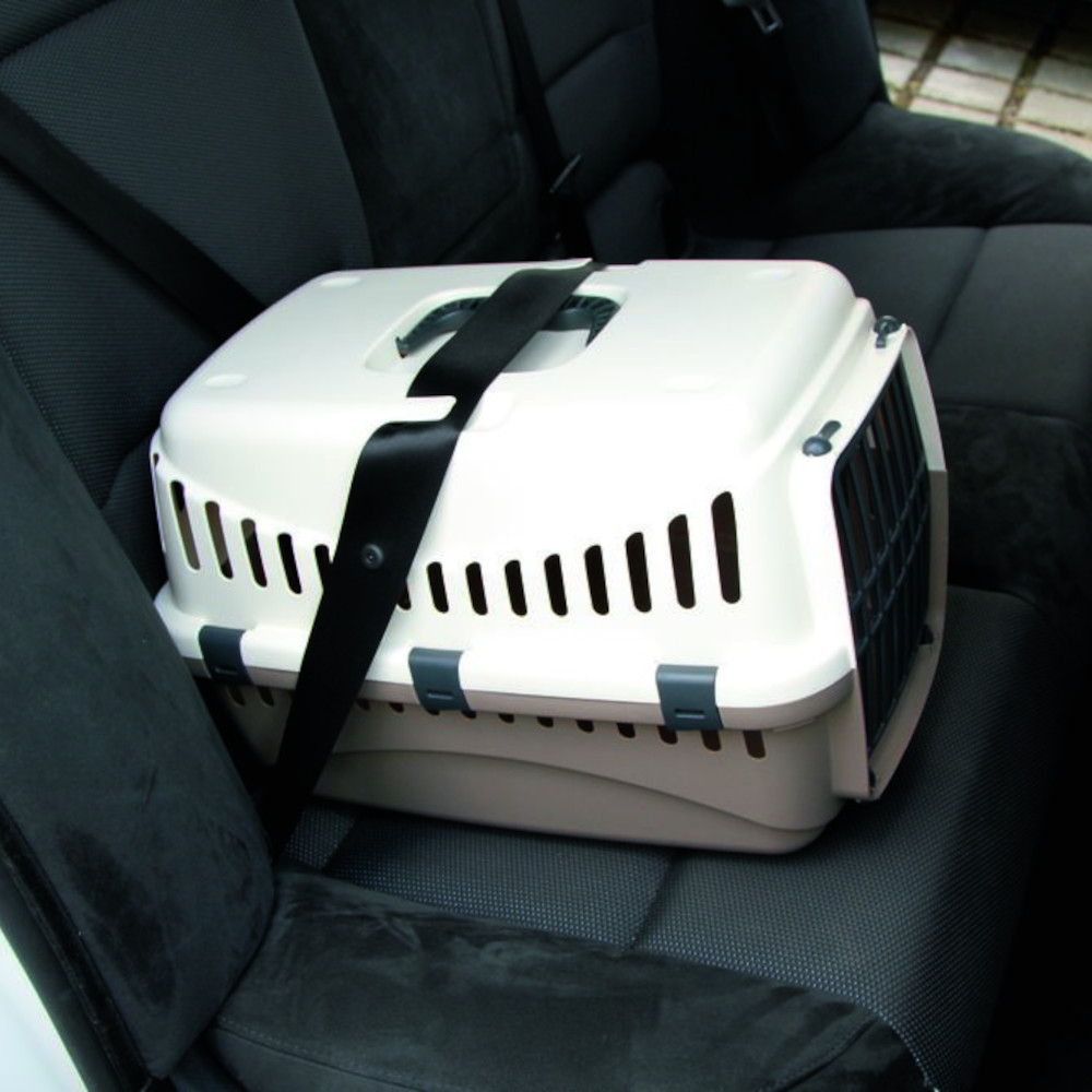 Transportbox Expedion