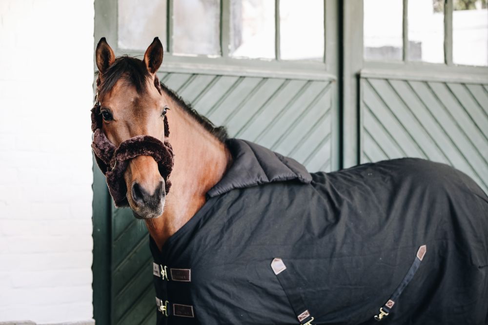 KENTUCKY® HORSEWEAR Horse BIB Sommer, schwarz
