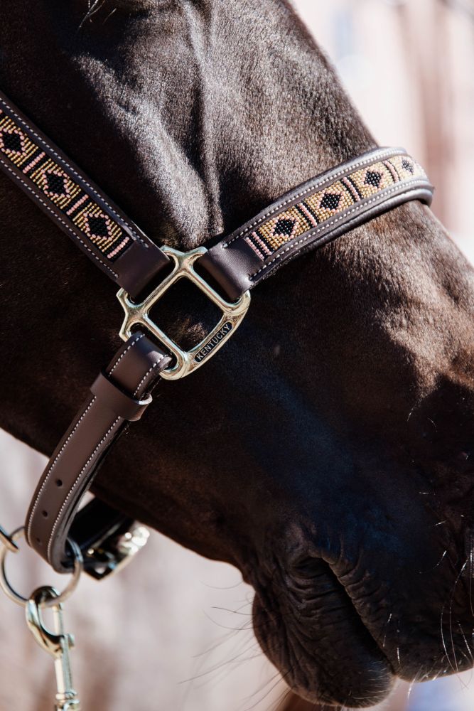 KENTUCKY® HORSEWEAR Pearls Halfter, gold