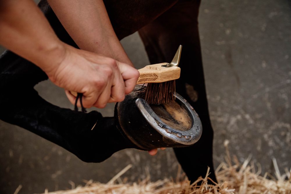 KENTUCKY® GROOMING DELUXE Hoof Pick