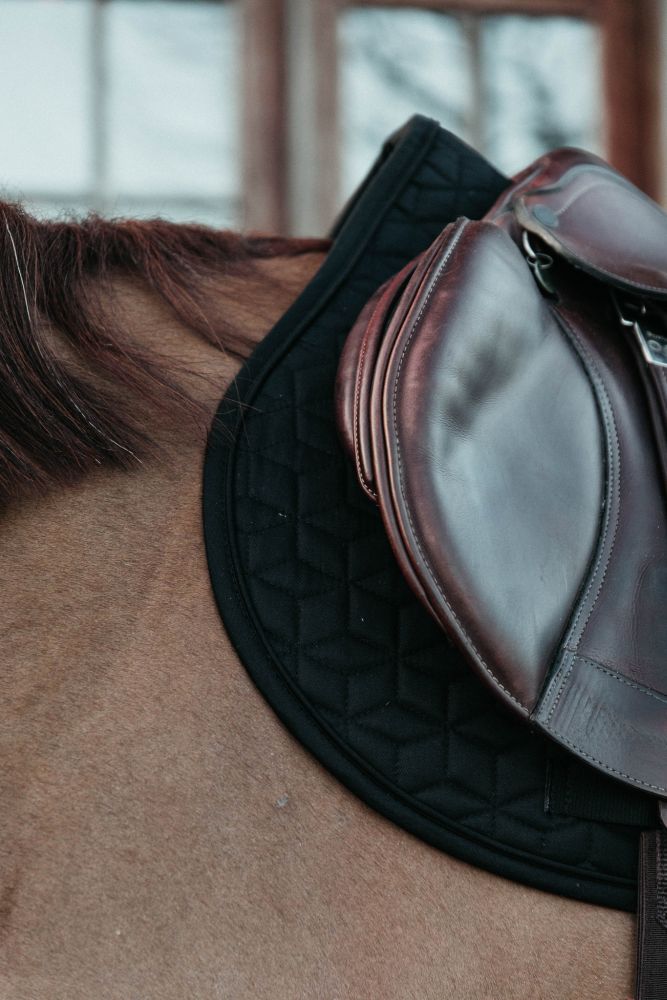 KENTUCKY® HORSEWEAR Schabracke Classic Springen, schwarz