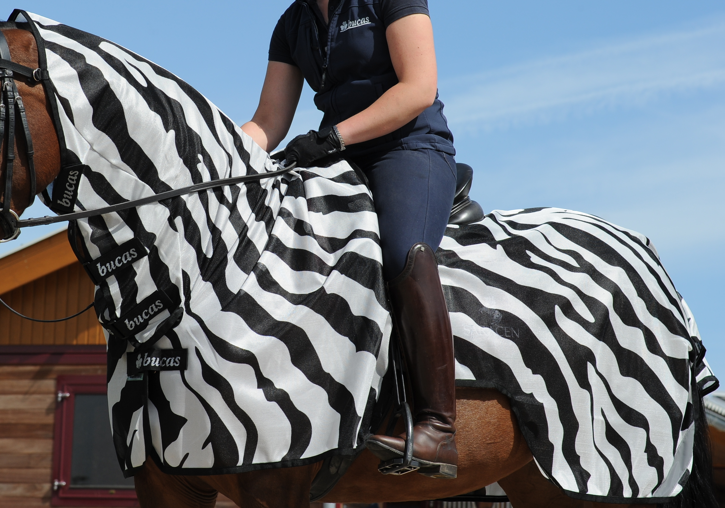 BUCAS Buzz-Off Riding Zebra