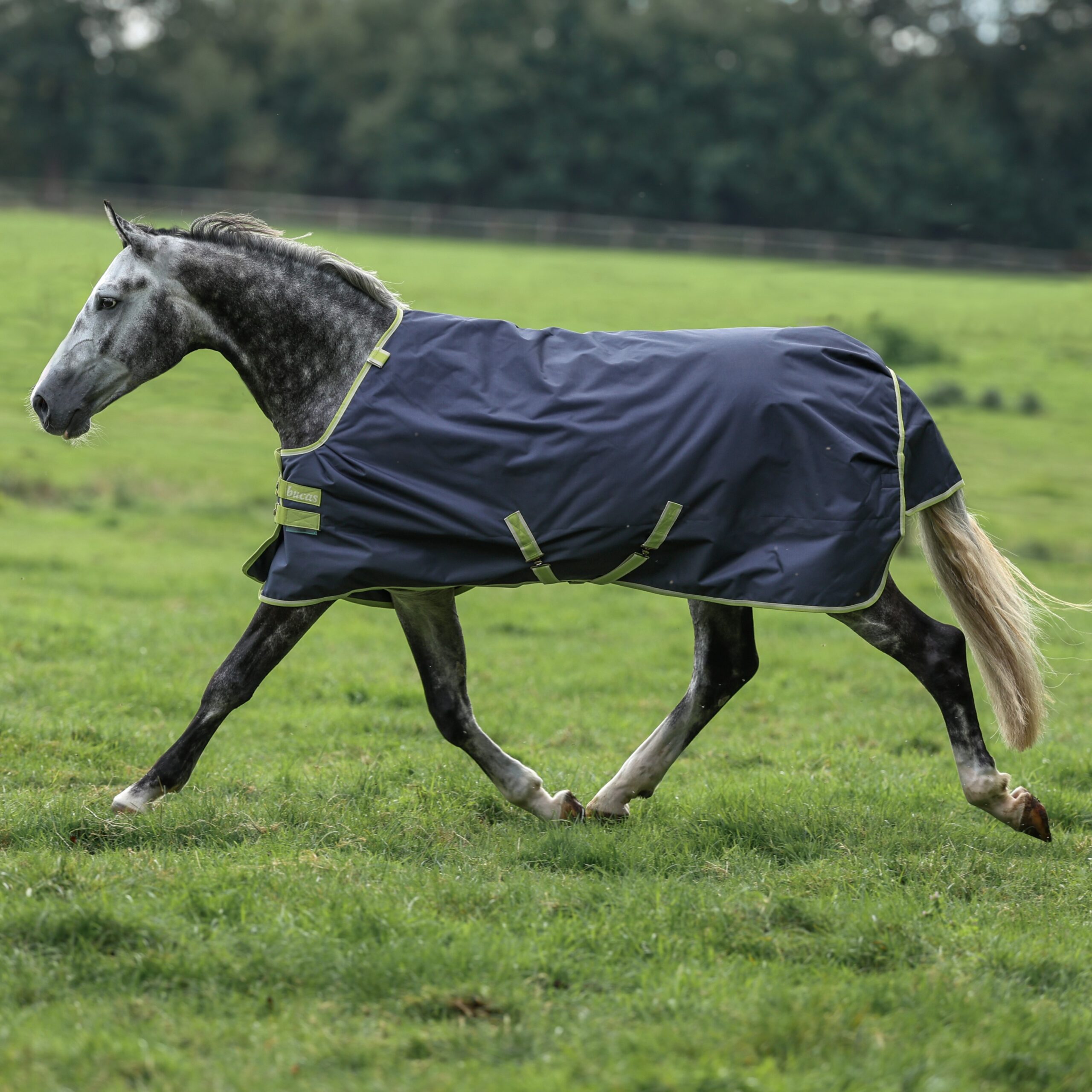 BUCAS Oasis Turnout 100 g mit 50 g Neck 