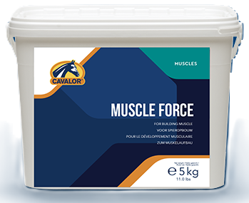 CAVALOR® Muscle Force