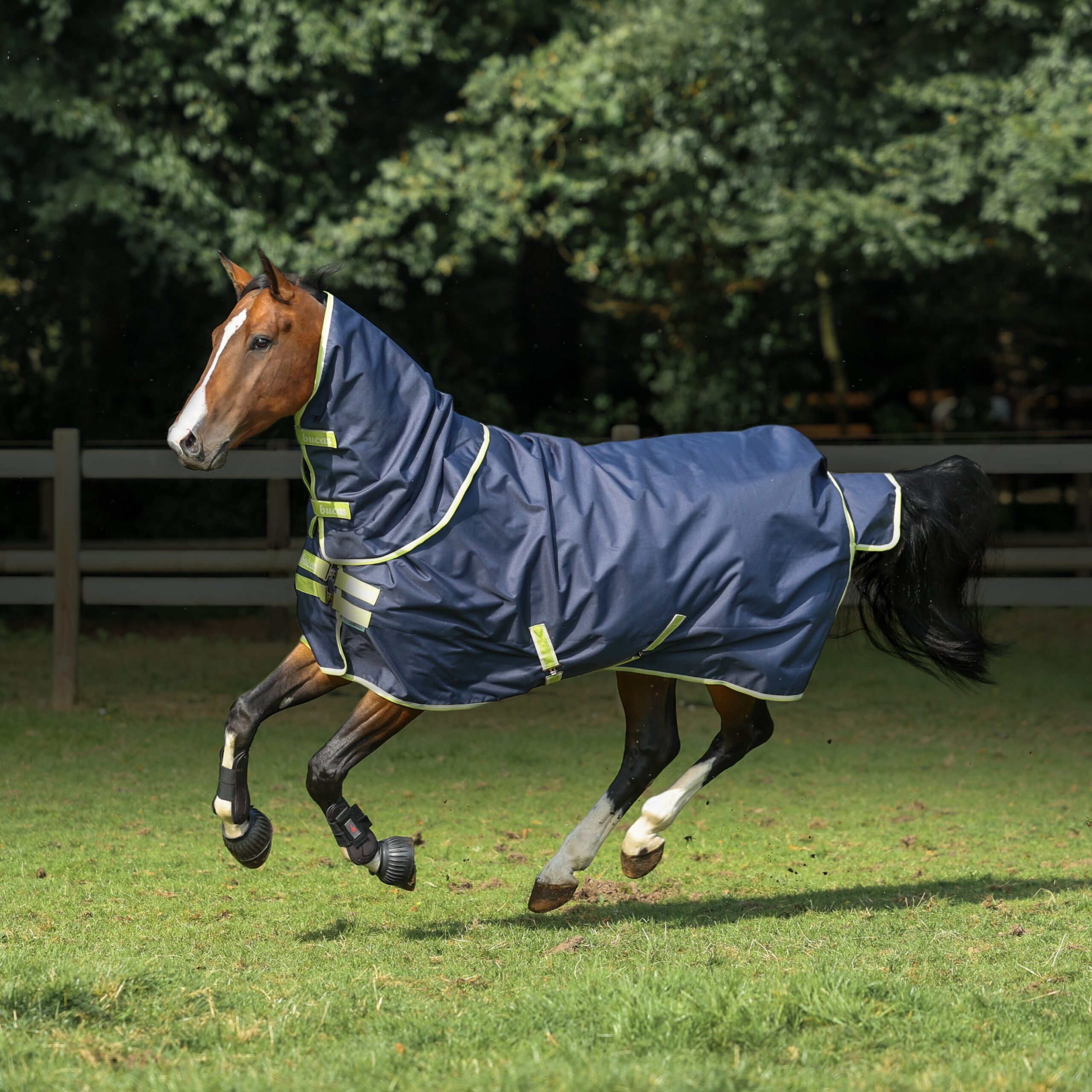 BUCAS Oasis Turnout 100 g mit 50 g Neck 
