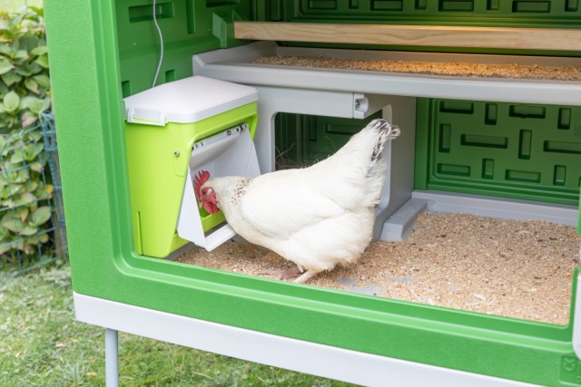 KERBL SmartCoop Futterautomat mit Schutzklappe