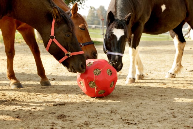 KERBL Futterspielball, Fressöffnung Ø 40 mm