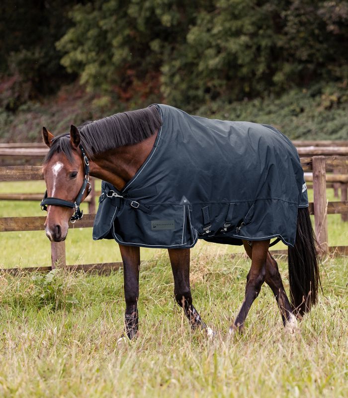 Braunes Pferd auf einer Weide trägt die nachtblaue SCANDIC MultiLayer Outdoordecke mit weißer Biese