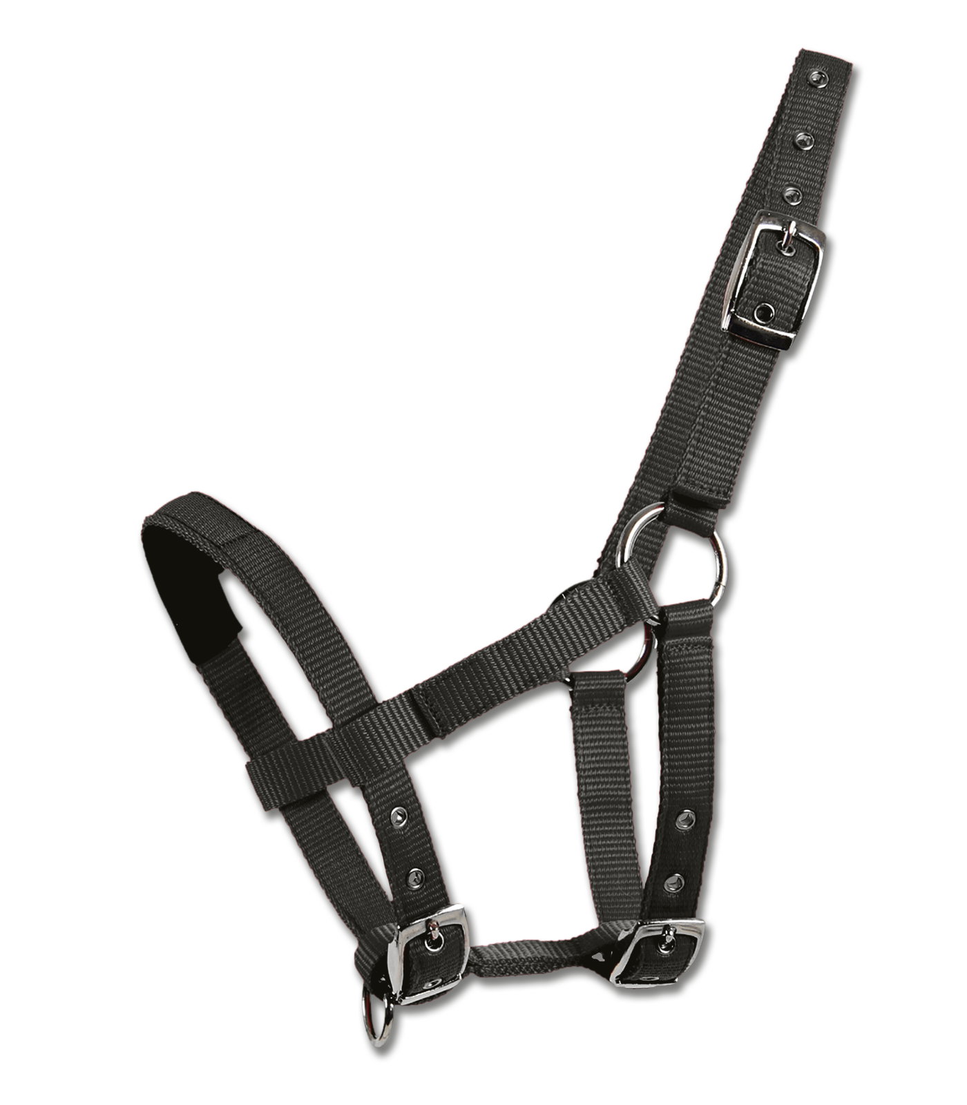 WALDHAUSEN Mini-Shetty Halfter