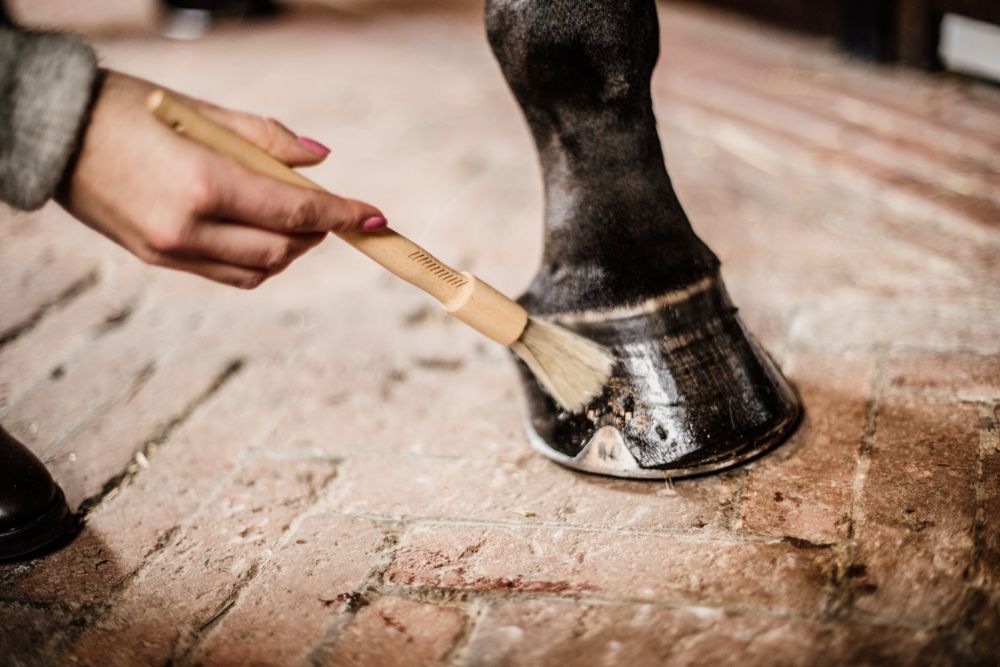 KENTUCKY® GROOMING DELUXE Hoof Pencil