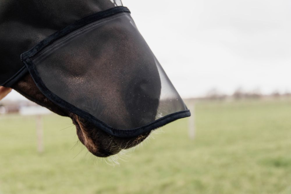 KENTUCKY® HORSEWEAR Fliegenmaske mit Ohren- und Nüsternschutz, schwarz