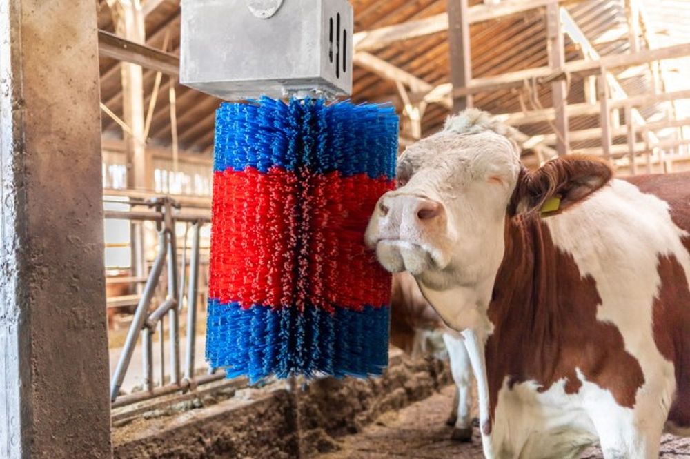 HAPPYCOW Kuhputzmaschine MidiSwing