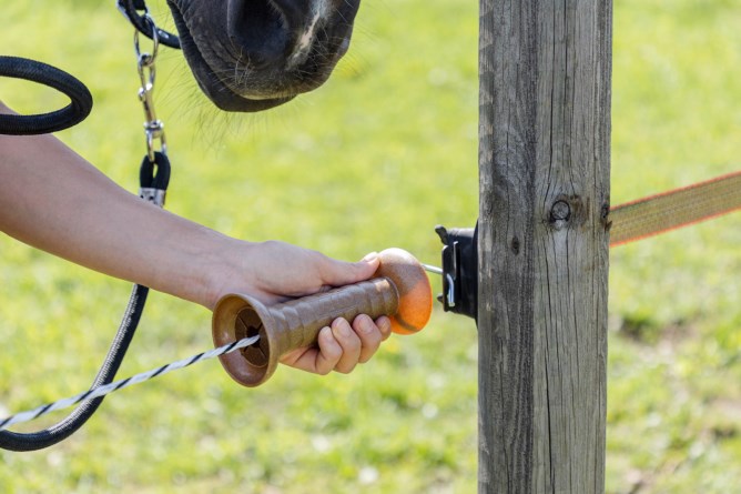 Das AKO Tor-Set Premium FLEXIGATE in Anwendung an einem Holzpfahl, bedient von einer Hand neben einem Pferd.