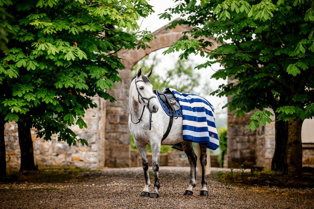 HORSEWARE® Newmarket Fleece Square, witney/navy