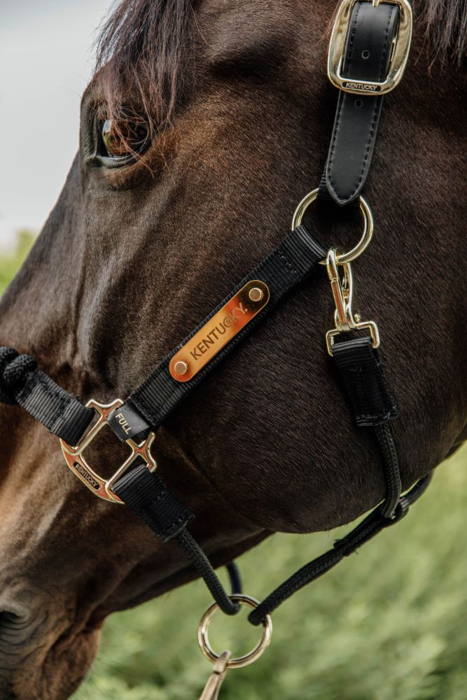 KENTUCKY® HORSEWEAR Kontrollhalfter