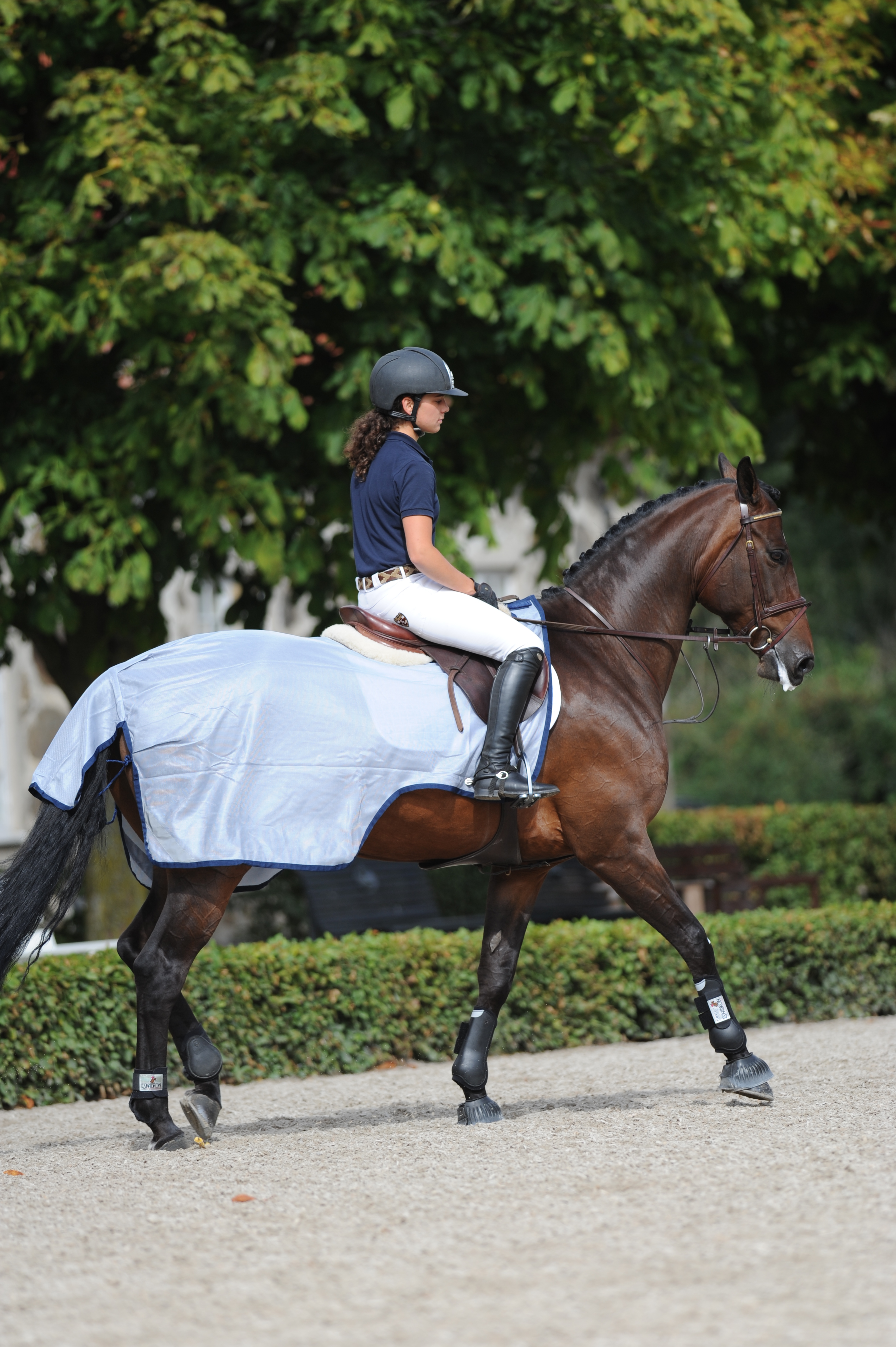 BUCAS Buzz-Off Riding