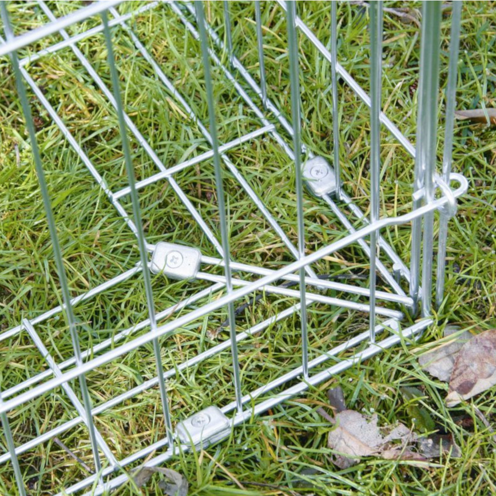 Freilaufgehege mit Ausbruchsperre mit Sitzstange