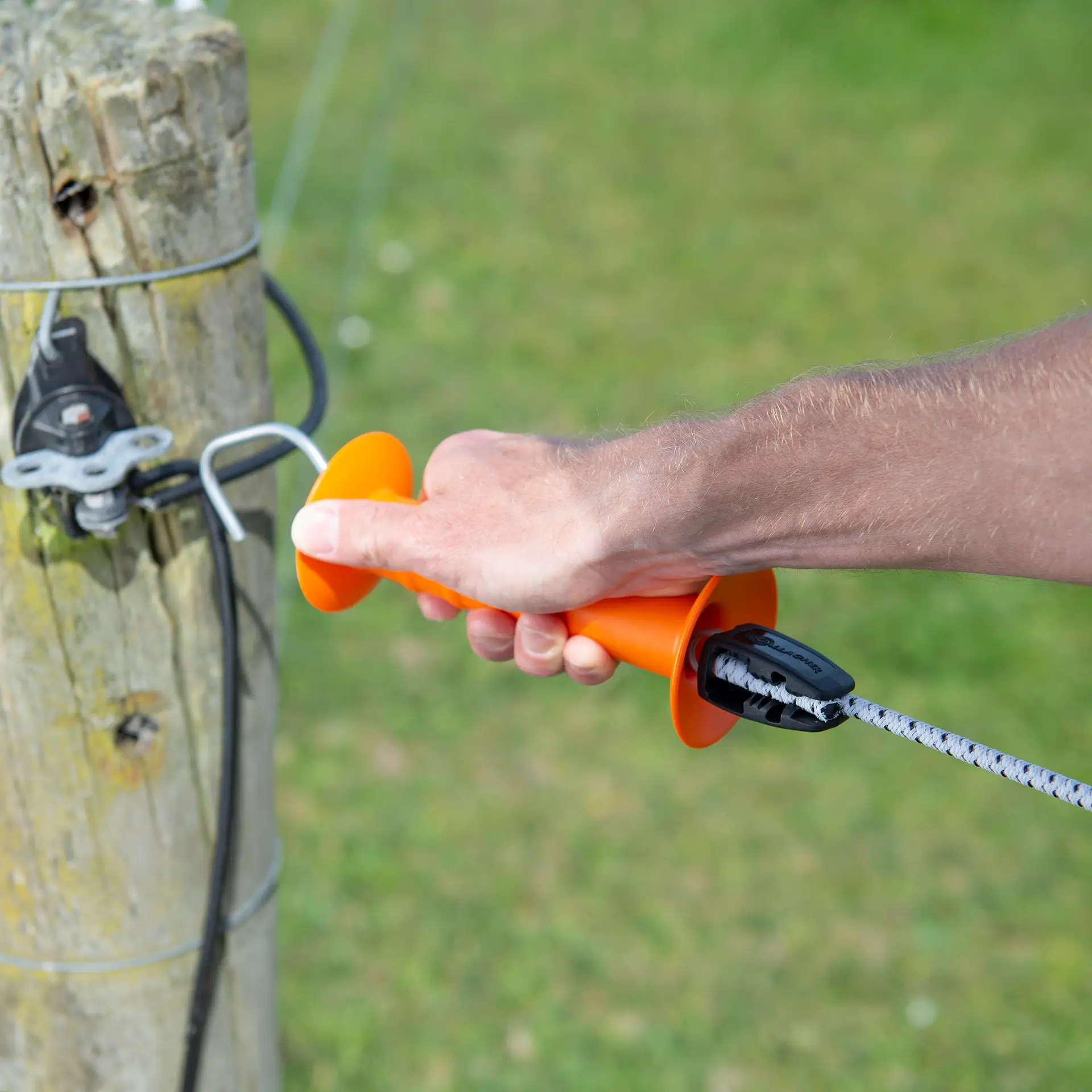 GALLAGHER elastisches Cord 50 m, weiß
