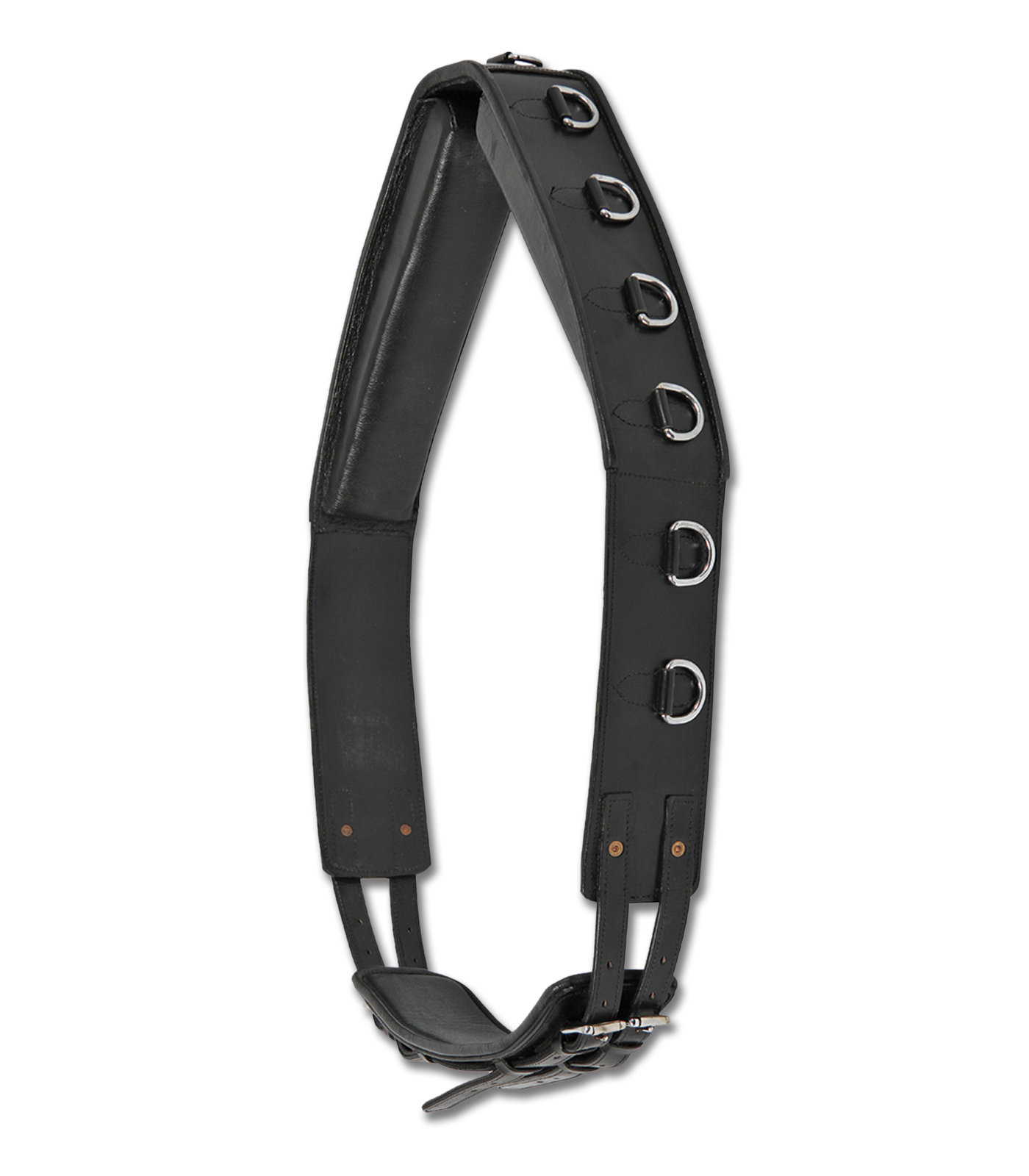 Longiergurt mit Ringen Leder