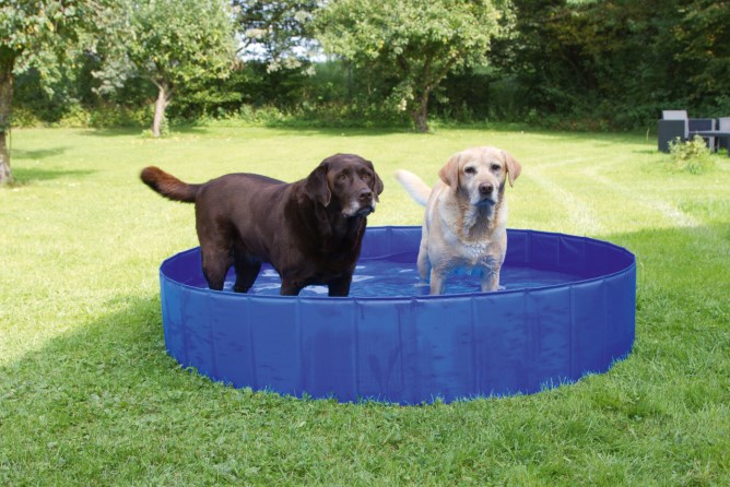 KERBL Hundepool Ø 120 cm