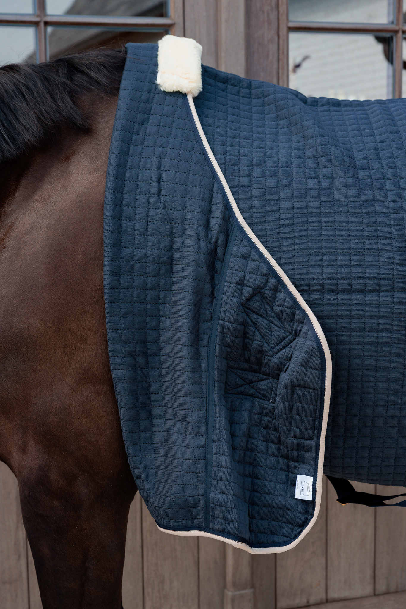 KENTUCKY® HORSEWEAR Abschwitzdecke PROTherm, navy Gesteppte Abschwitzdecke PROTherm in Navy mit umgeschlagener Front und beigem Widerristpolster auf Pferderücken.